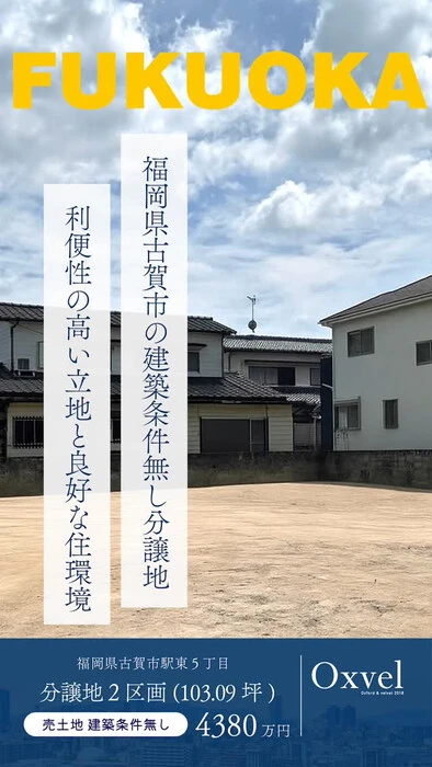 画像239