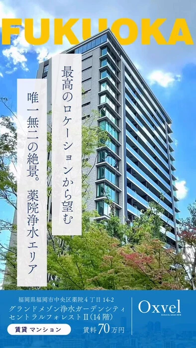 画像243